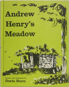 Andrew_Henry's_Meadow_1st_Edition_cover